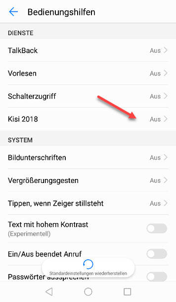 Dienste mit Eintrag der Kisi-App